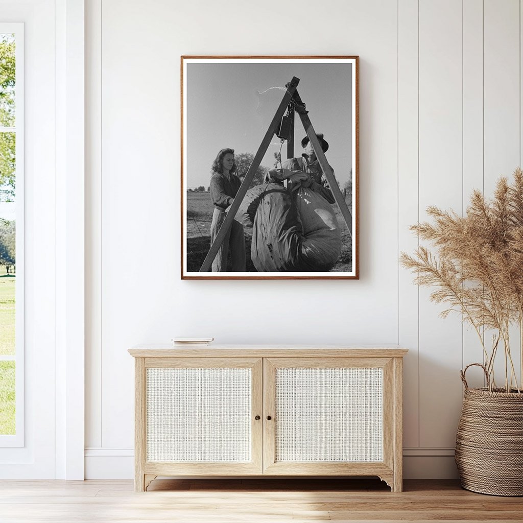 Weighing Cotton in Tulare County California March 1942