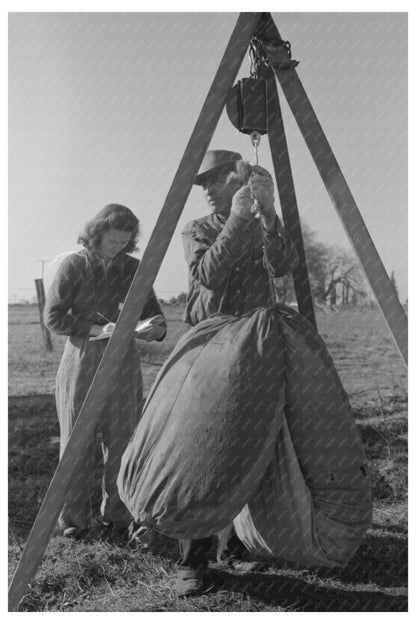 Weighing Cotton in Tulare County California 1942