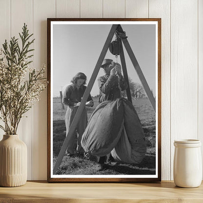 Weighing Cotton in Tulare County California 1942