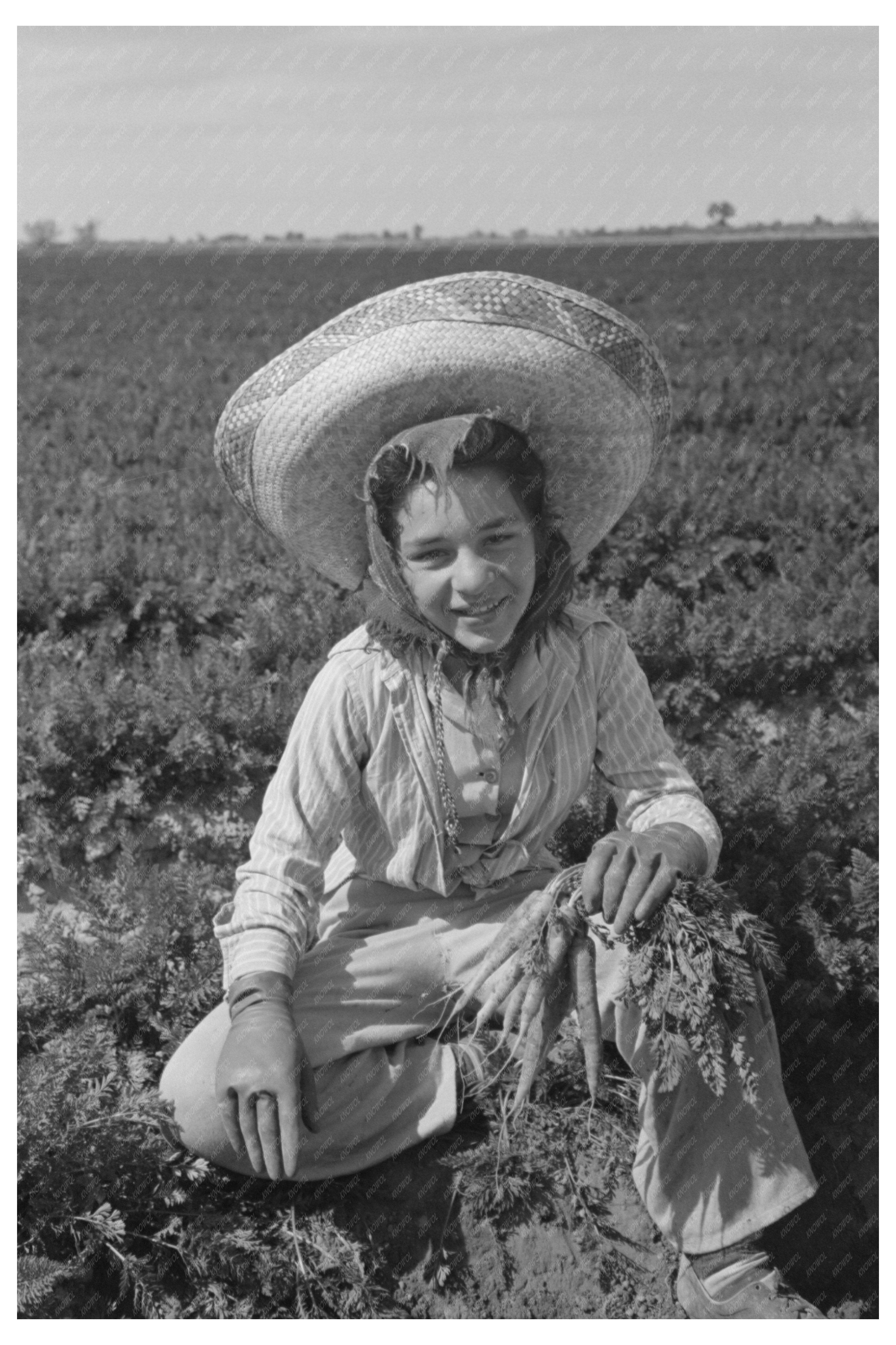 Agricultural Worker in Carrot Field Yuma County 1942