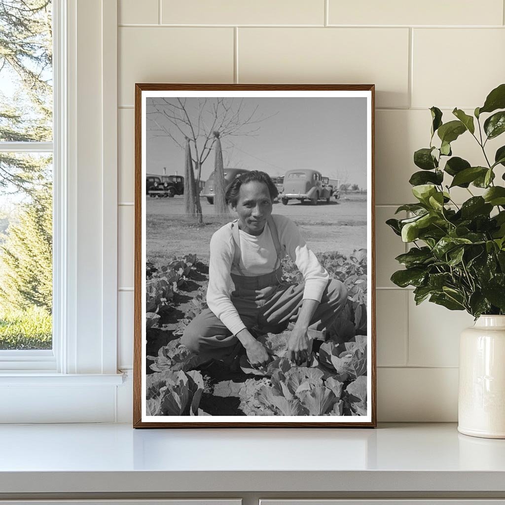 Agricultural Worker in Yuma County Cabbage Fields 1942