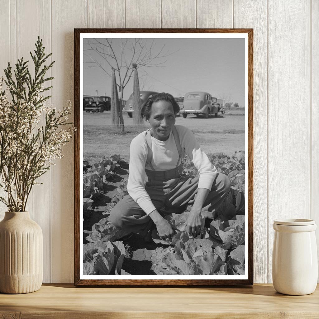 Agricultural Worker in Yuma County Cabbage Fields 1942