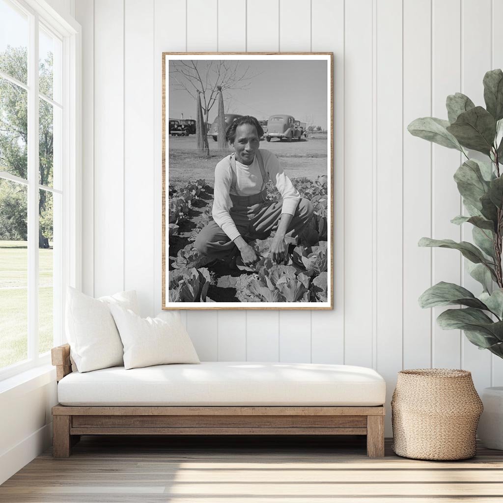 Agricultural Worker in Yuma County Cabbage Fields 1942