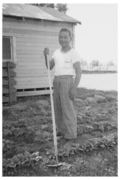 Japanese-American Laborer in Malheur County Oregon 1942