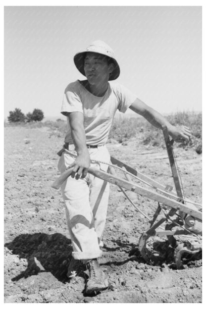 Japanese-American Day Laborer on Oregon Farm 1942