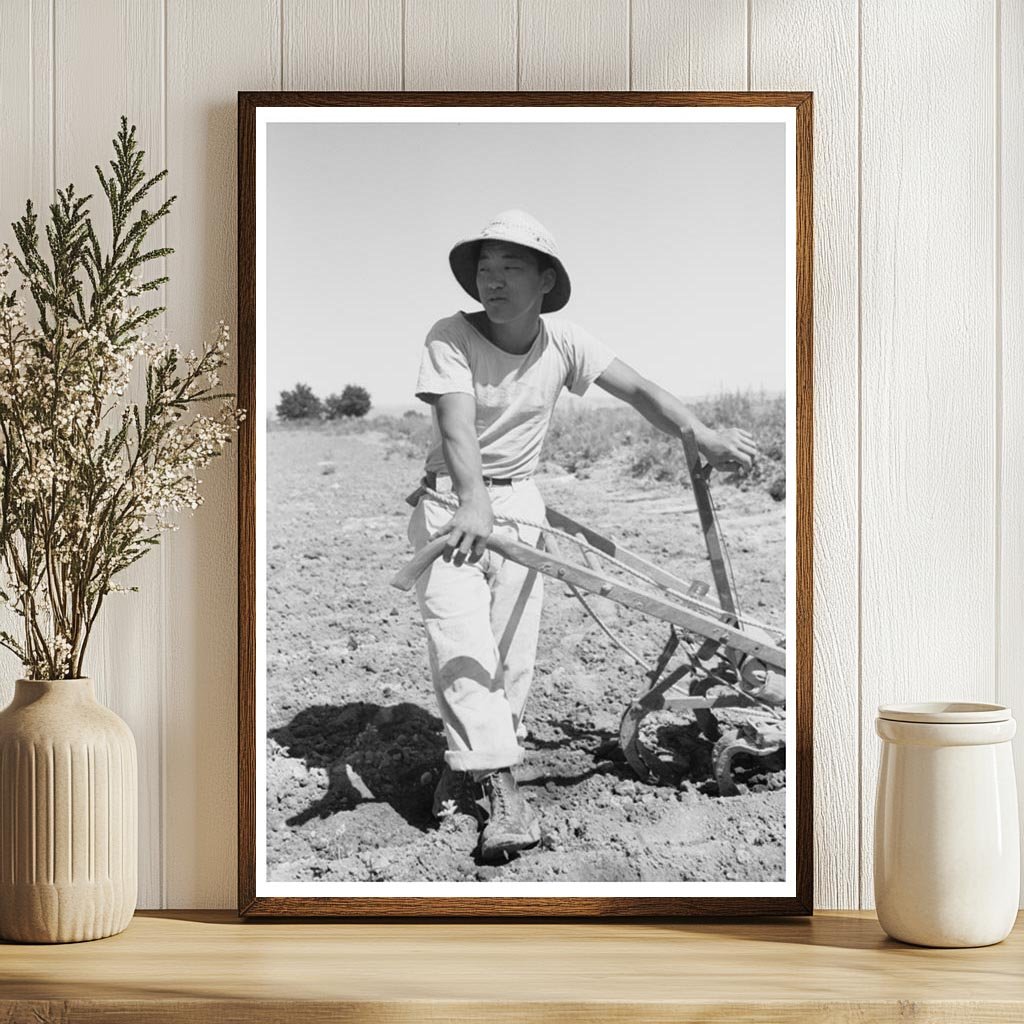 Japanese-American Day Laborer on Oregon Farm 1942