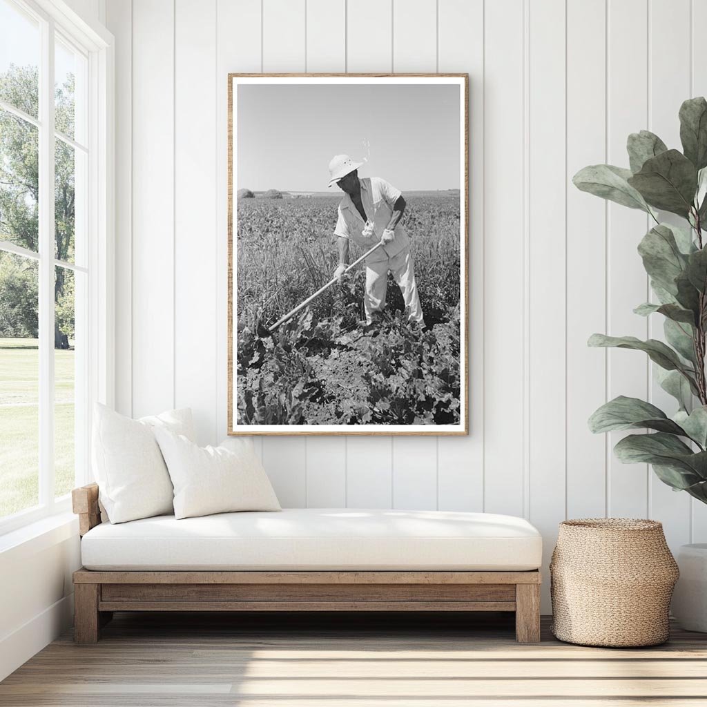 Japanese-American Laborer in Sugar Beet Field 1942