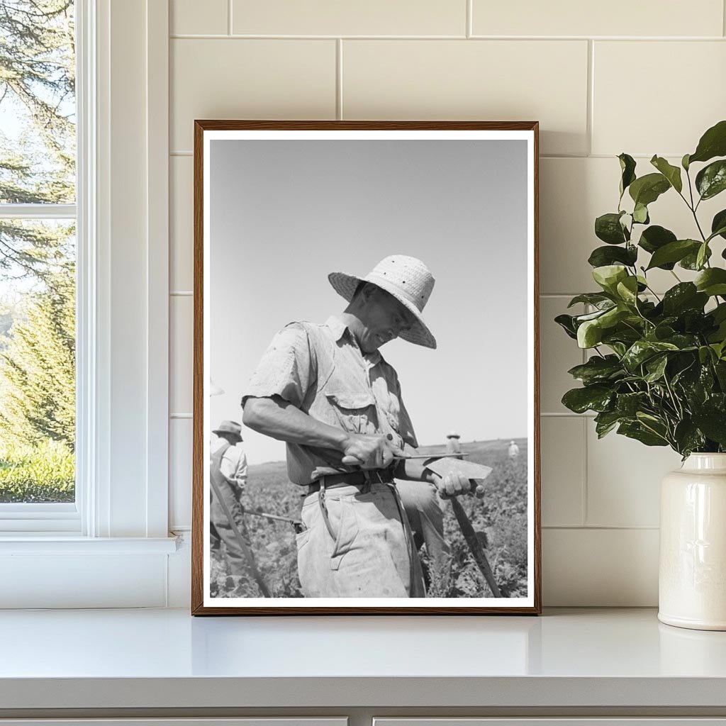 Japanese-American Farm Worker Sharpening Hoe July 1942