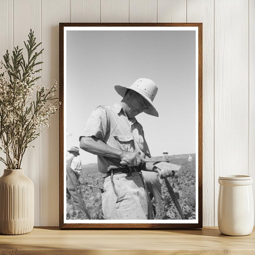 Japanese-American Farm Worker Sharpening Hoe July 1942