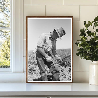 Japanese-American Farm Worker July 1942 Nyssa Oregon