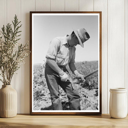 Japanese-American Farm Worker July 1942 Nyssa Oregon