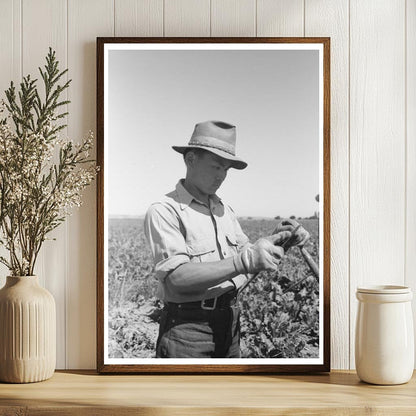 Japanese-American Farm Worker Sharpening Hoe 1942