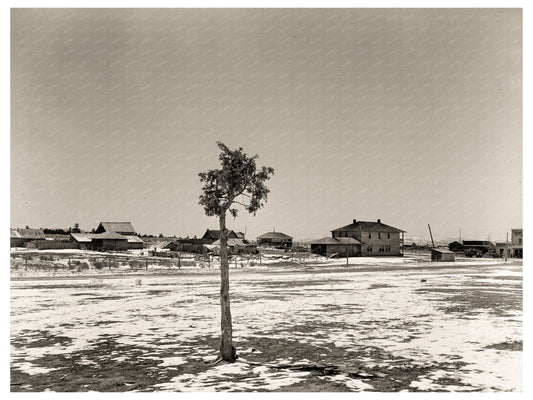 Widtsoe Utah 1936 Vintage Image of Historic Town and Agricultural Lifestyle