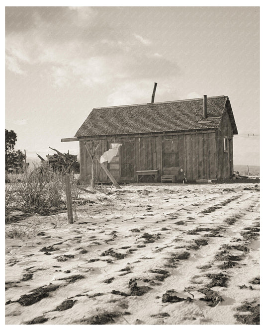 Widtsoe Farm Residence Utah April 1936 Vintage Photo