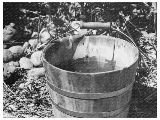 Water Southern California 1935 Vintage Photo