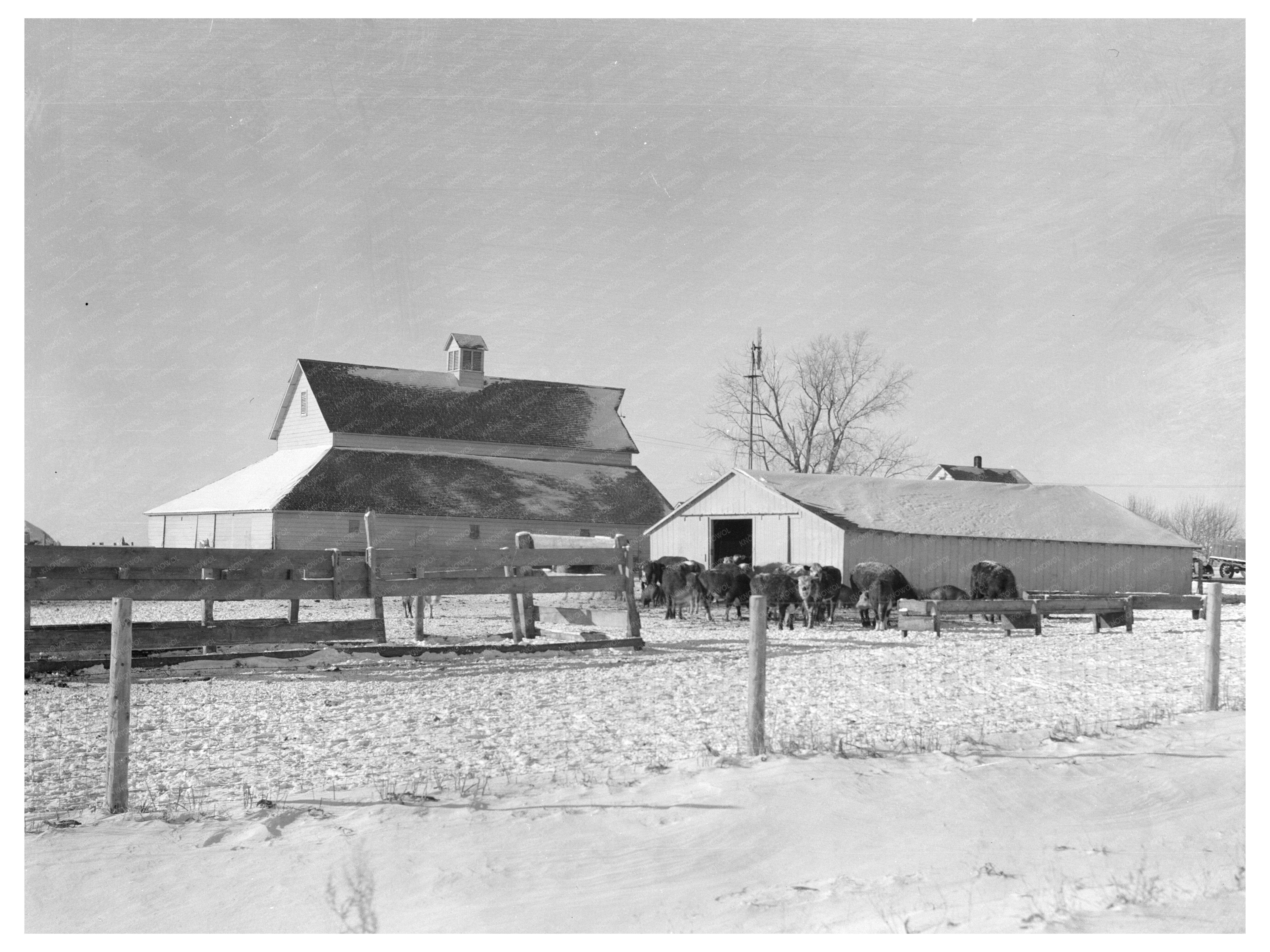 Farm Facilities on Harry Madsens Iowa Property 1936