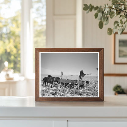 Iowa Farmer Spreading Manure December 1936