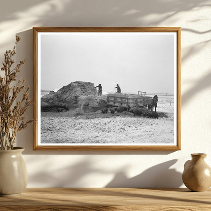 Straw Pitching at H. Madsen Farm Dickens Iowa 1936