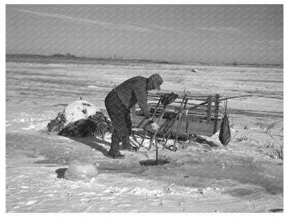 Muskrat Trapping in Dickens Iowa December 1936