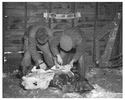 Hog Skinning on Harry Madsen Farm Dickens Iowa December 1936