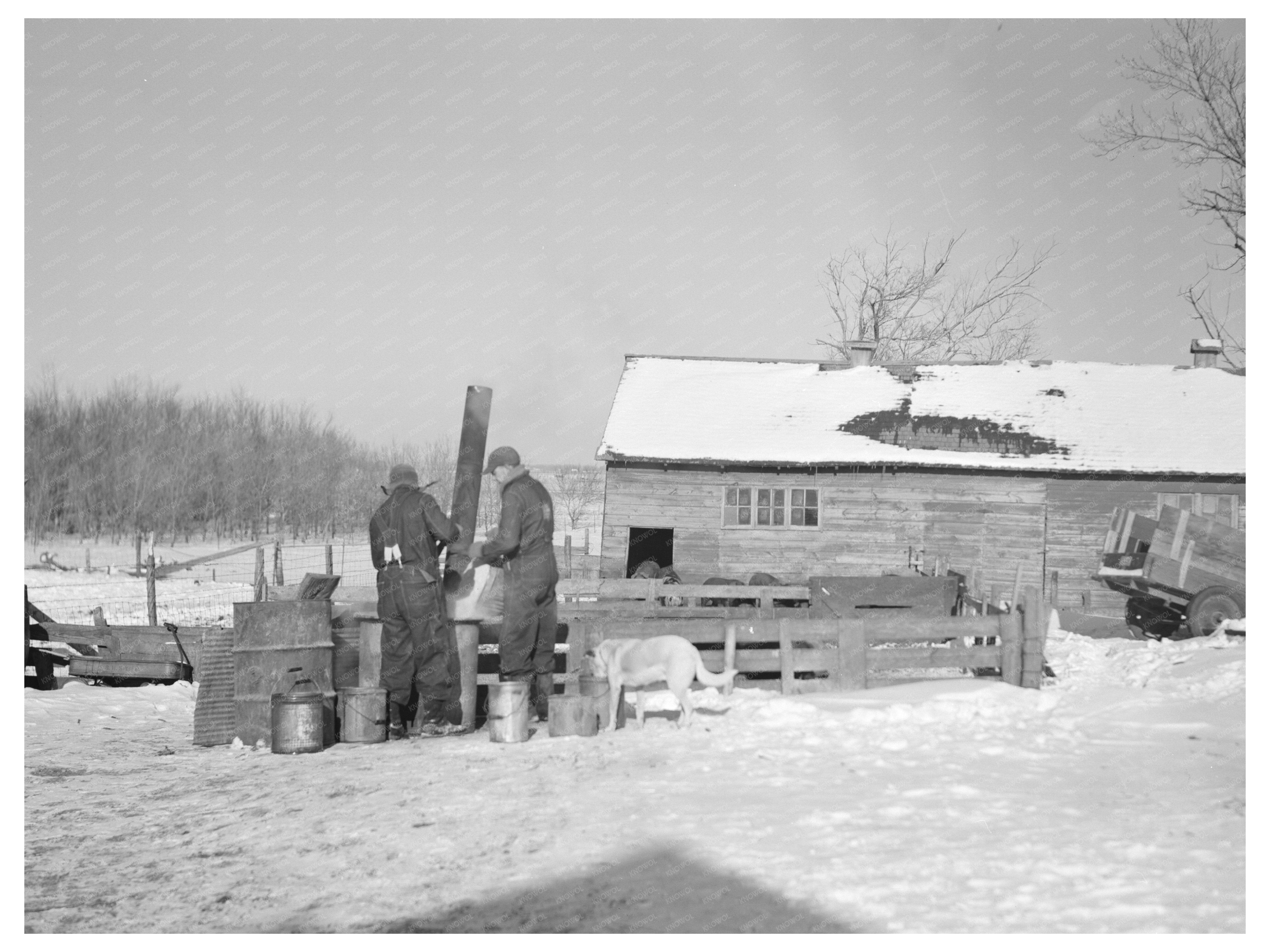 Rustan Brothers Prepare Warm Drink for Hogs December 1936