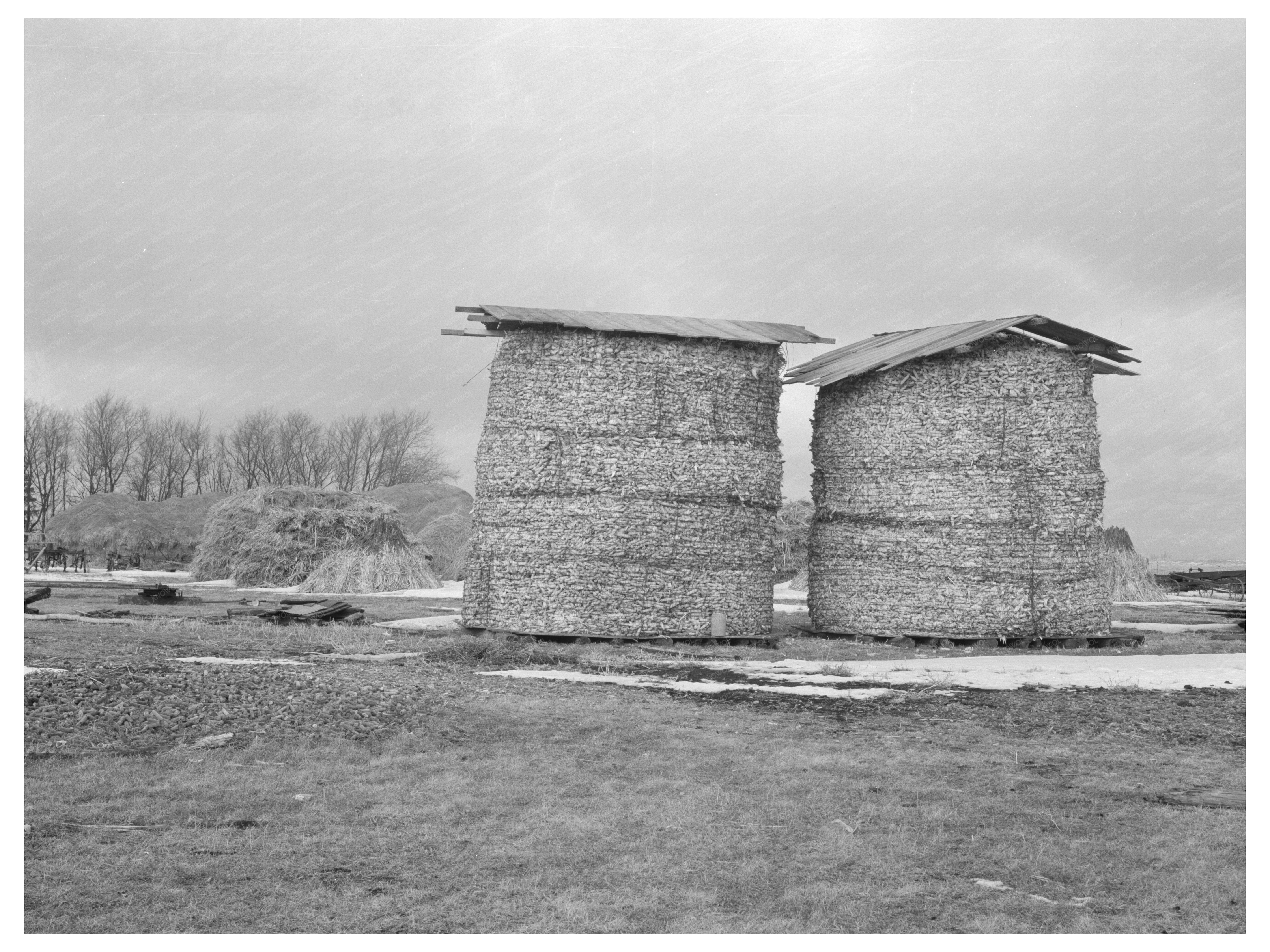 Vintage Corn Crib in Emmet County Iowa December 1936