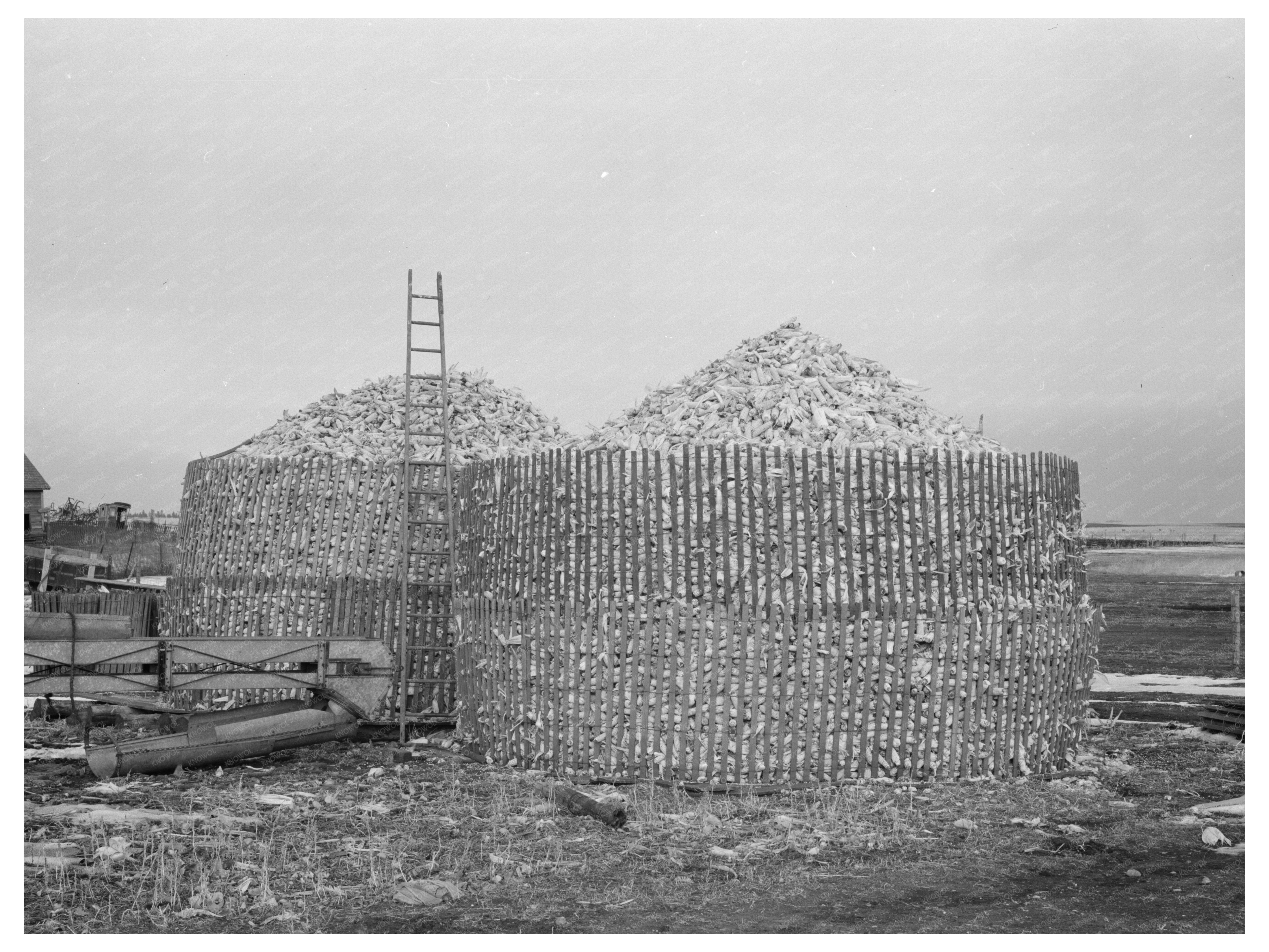 Open Crib Corn Storage in Emmet County Iowa 1936