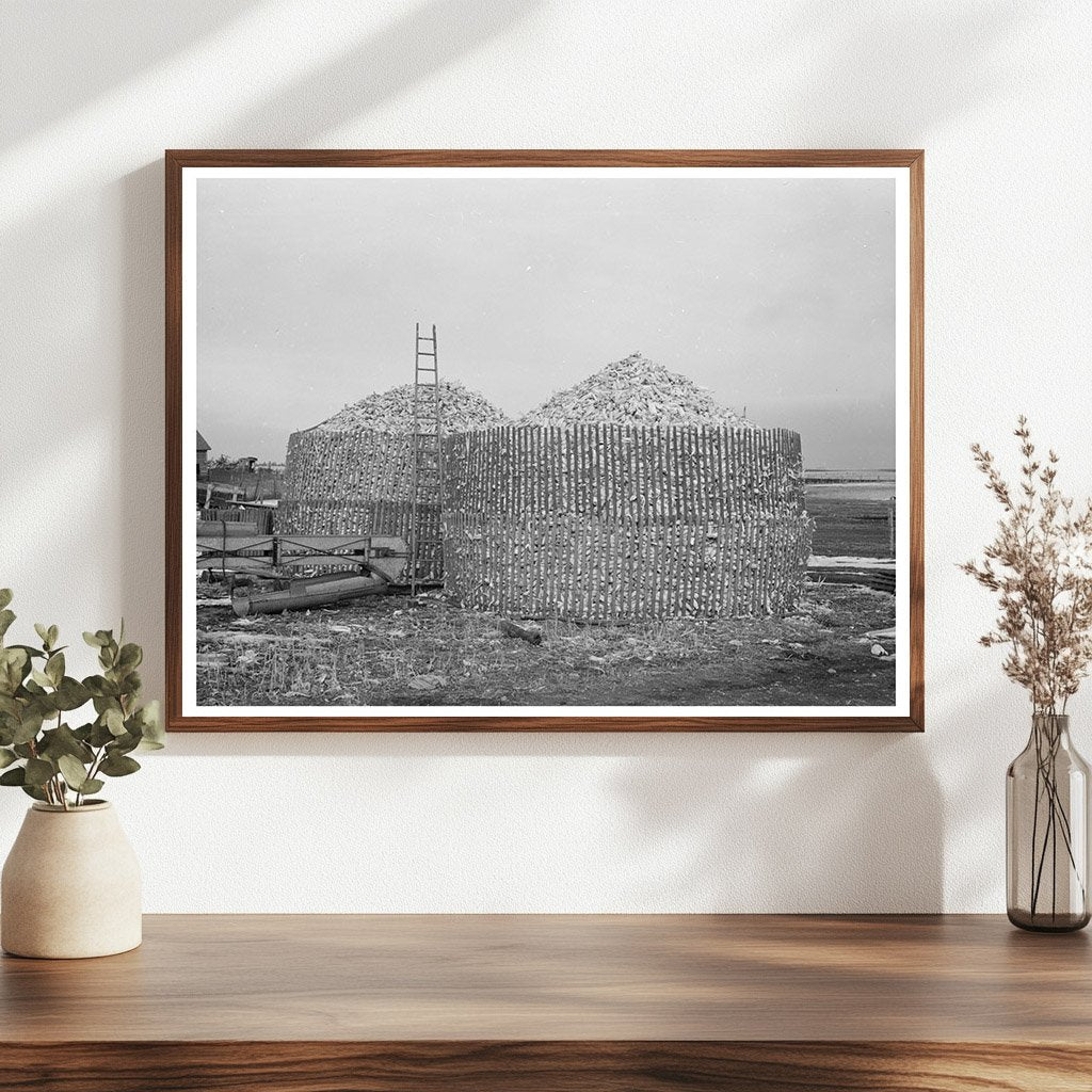 Open Crib Corn Storage in Emmet County Iowa 1936