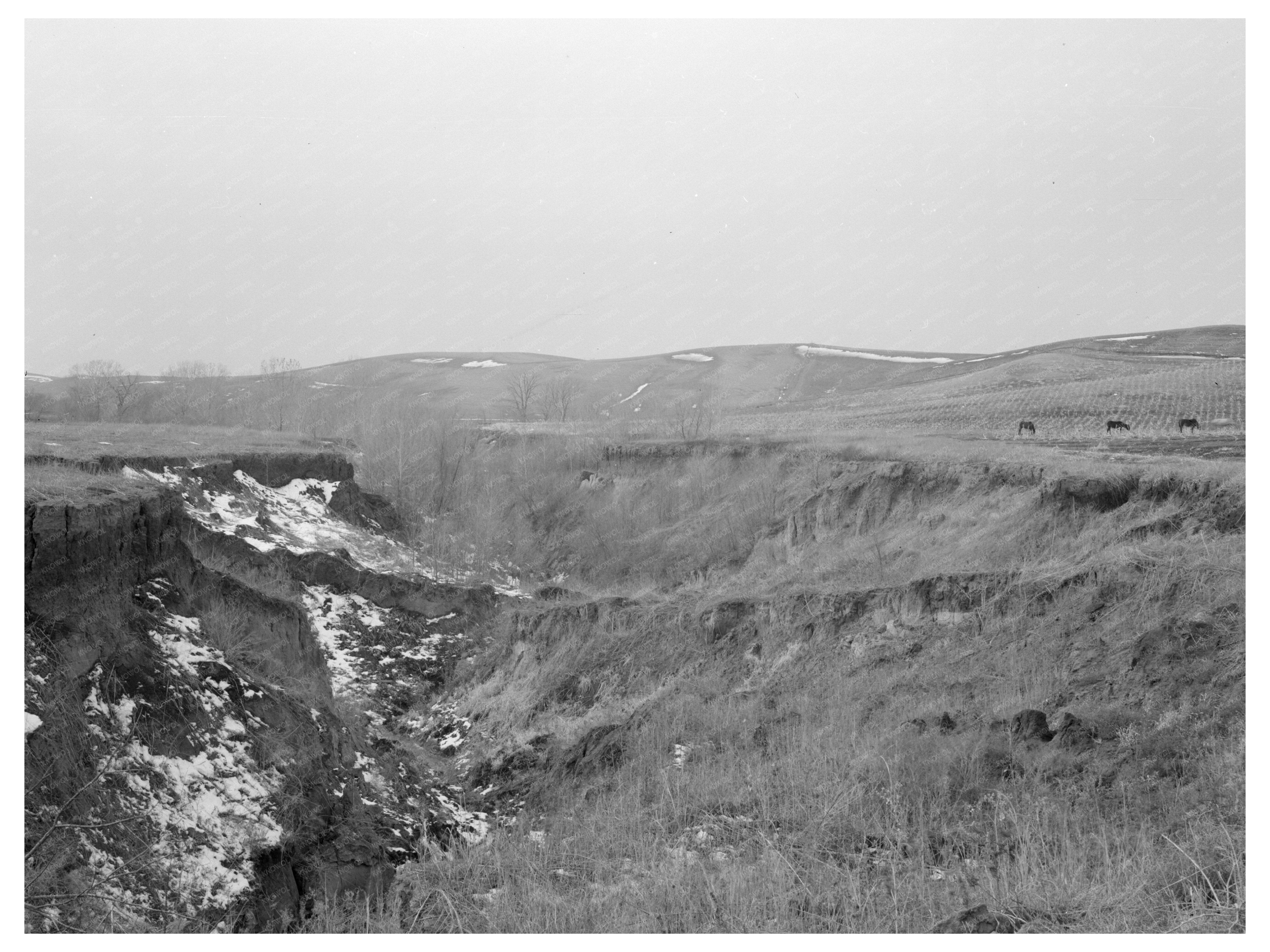 Soil Erosion on George Kroeger Farm December 1936