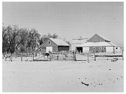 Dairy Farm in Mercer County Illinois January 1937