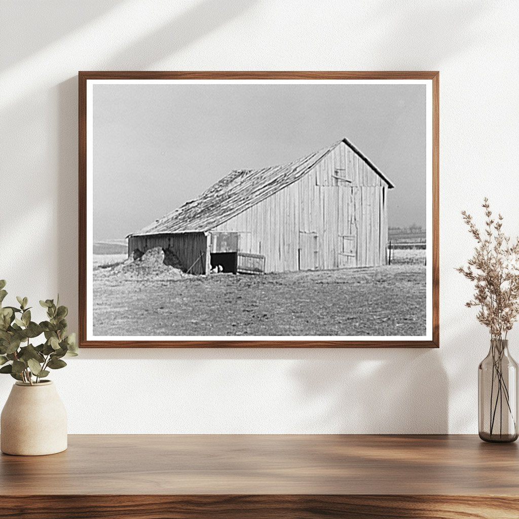 Old Barn on John Landers Farm Marseilles Illinois 1937