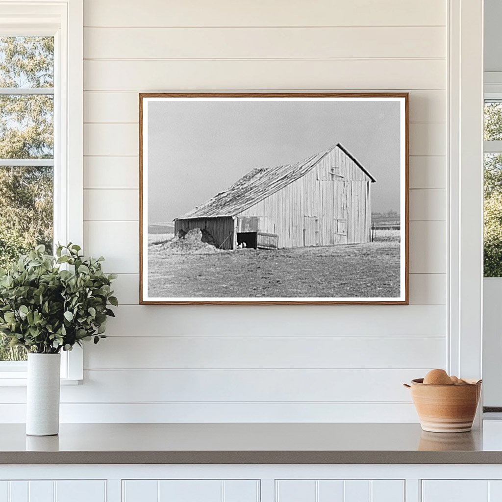 Old Barn on John Landers Farm Marseilles Illinois 1937