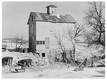 Barnyard Scene at Fred Morgenflashs Farm 1937