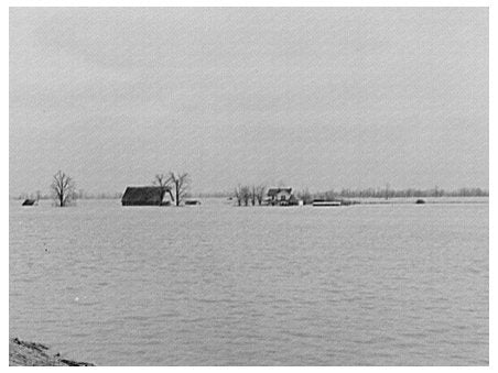 Flooded Farmland Near New Madrid Missouri February 1937