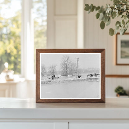 Flooded Farm Livestock Cache Illinois February 1937