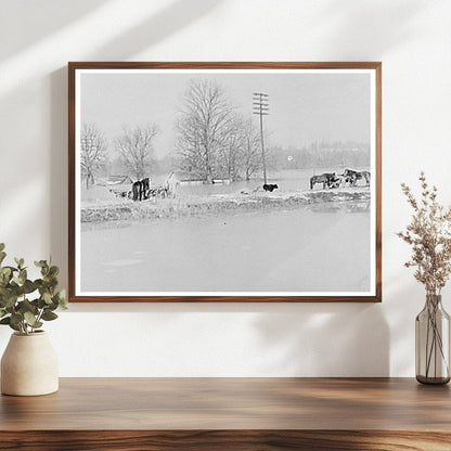 Flooded Farm Livestock Cache Illinois February 1937