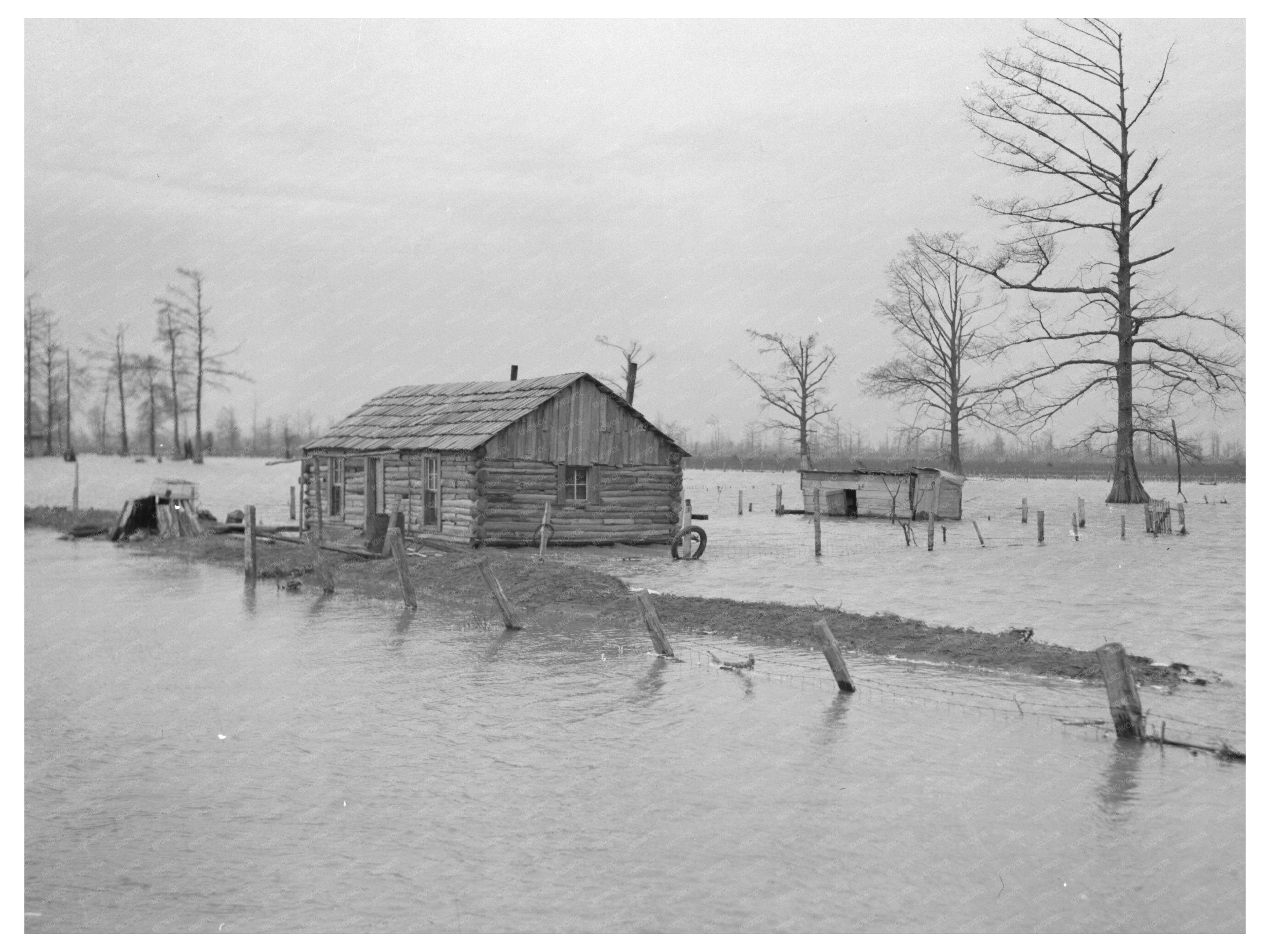 Flooded Farm in New Madrid Missouri February 1937