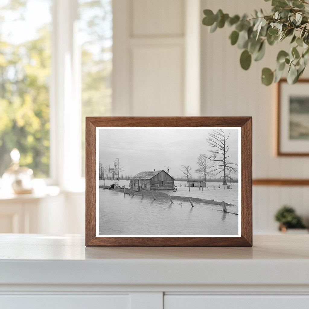 Flooded Farm in New Madrid Missouri February 1937