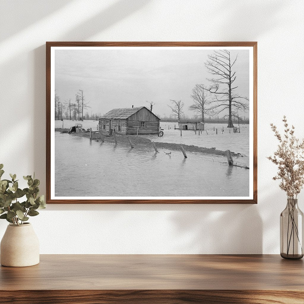 Flooded Farm in New Madrid Missouri February 1937