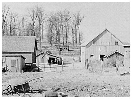 Frank Sheroans Farmyard Montmorenci Indiana 1937
