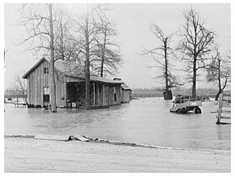 Flooded Farm in New Madrid County Missouri February 1937