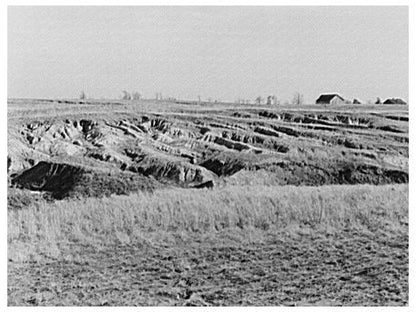 Gullying in White County Illinois Farmland February 1937