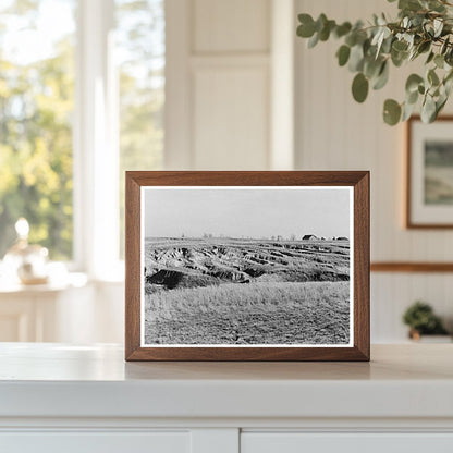 Gullying in White County Illinois Farmland February 1937