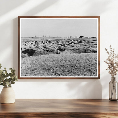 Gullying in White County Illinois Farmland February 1937