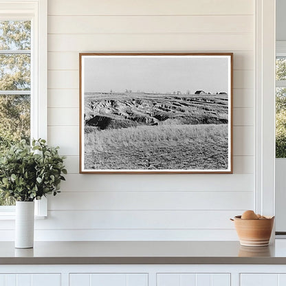 Gullying in White County Illinois Farmland February 1937