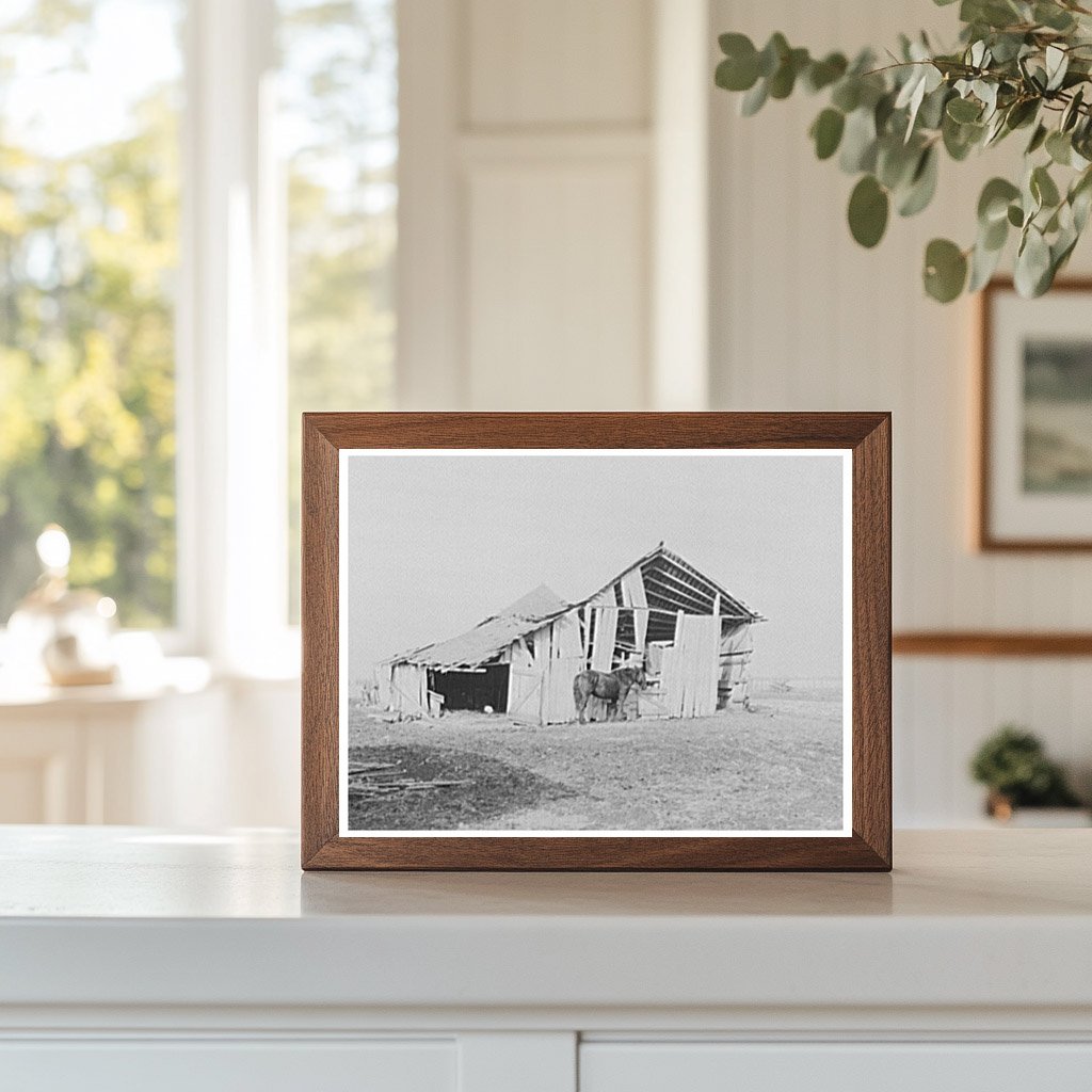 Vintage 1937 Barn and Horse on Indiana Farm