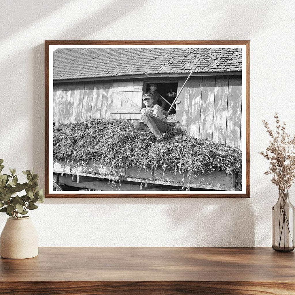 August Feck with Soybean Hay on Farm Indiana 1937