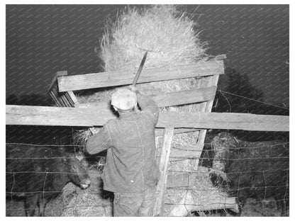 Tip Estes Pitching Hay on Indiana Farm March 1937