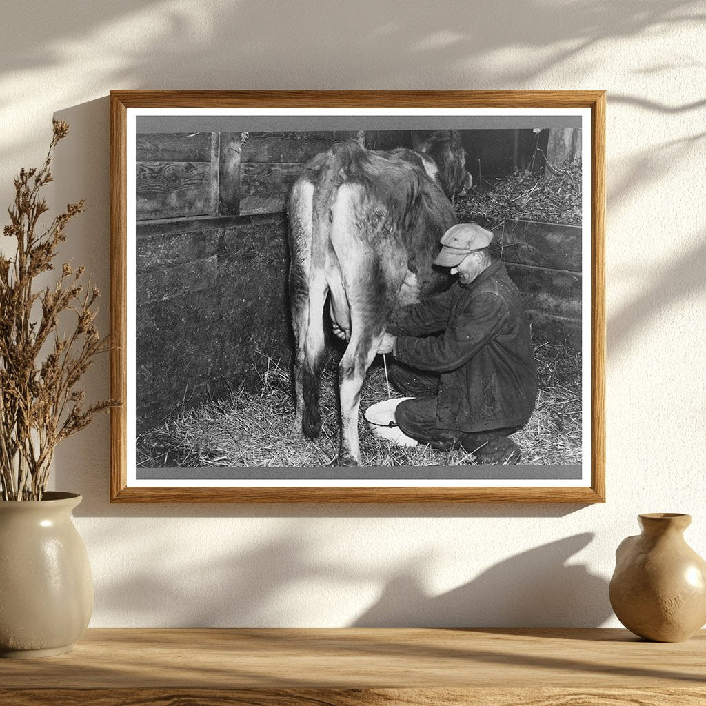 Tip Estes Milking Cow Benton County Indiana 1937