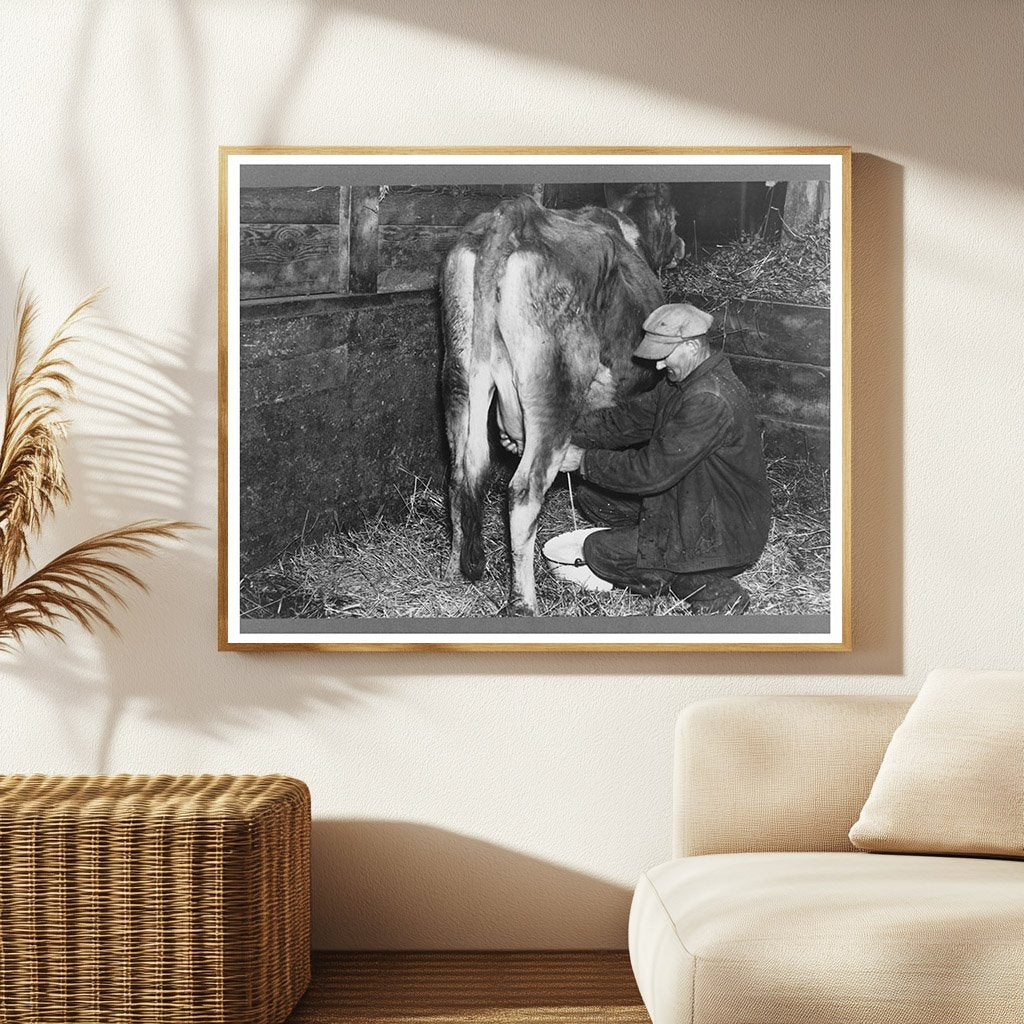 Tip Estes Milking Cow Benton County Indiana 1937